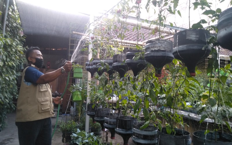 Hutan Sebagai Sumber Alternatif Pangan Tambahan