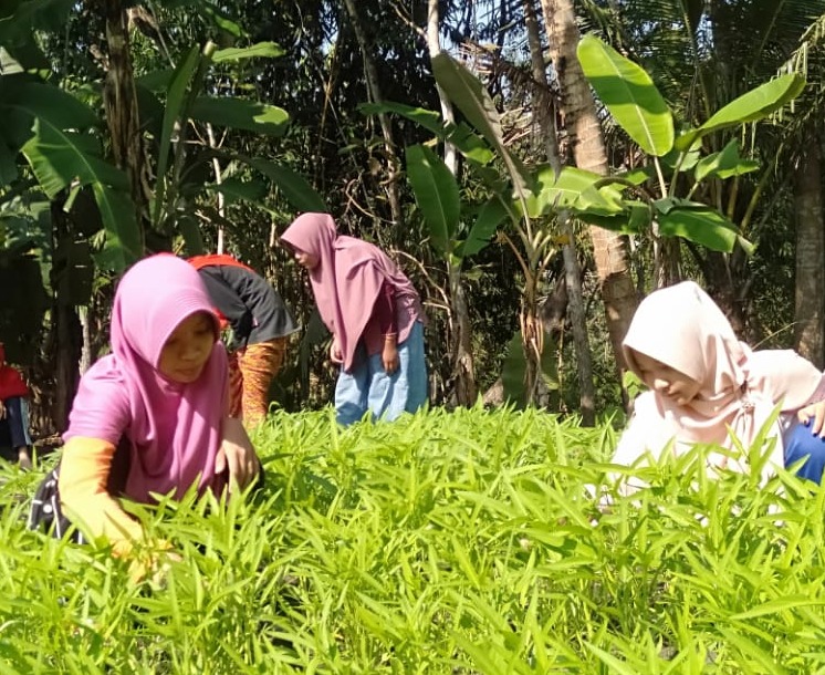 Ketum LDII Dorong Masyarakat Berdayakan Pekarangan untuk Ketahanan Pangan Keluarga