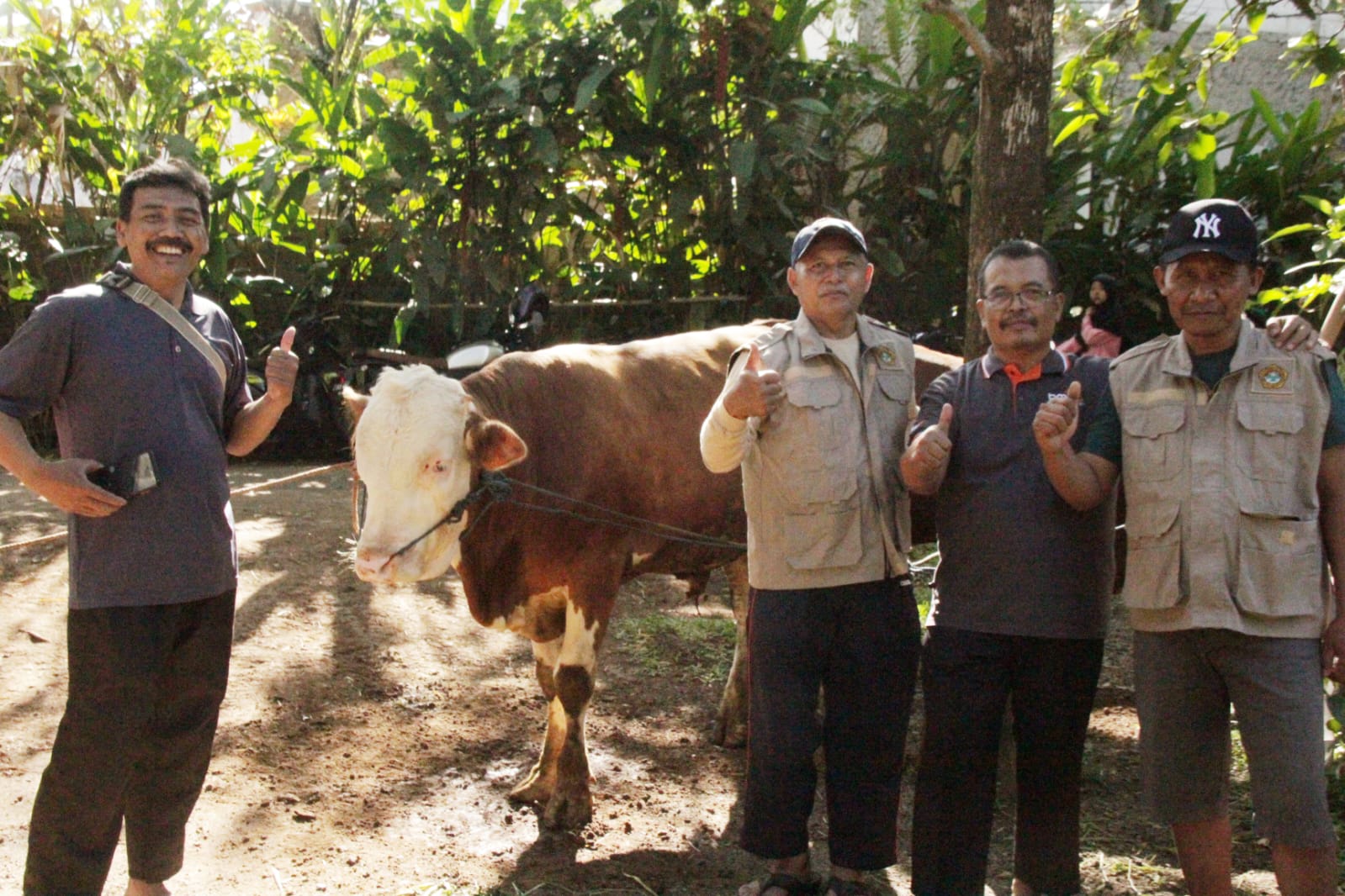 Momen Idul Adha, Warga LDII Kecamatan Cimanggung Bagikan Ratusan Paket Daging Kurban