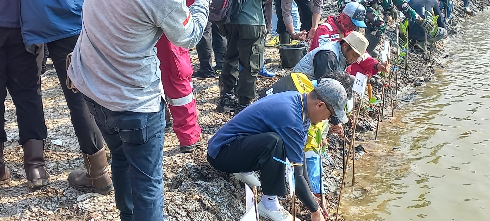 LDII Subang Dukung Penanaman 24.000 Mangrove Cegah Banjir Rob di Mayangan