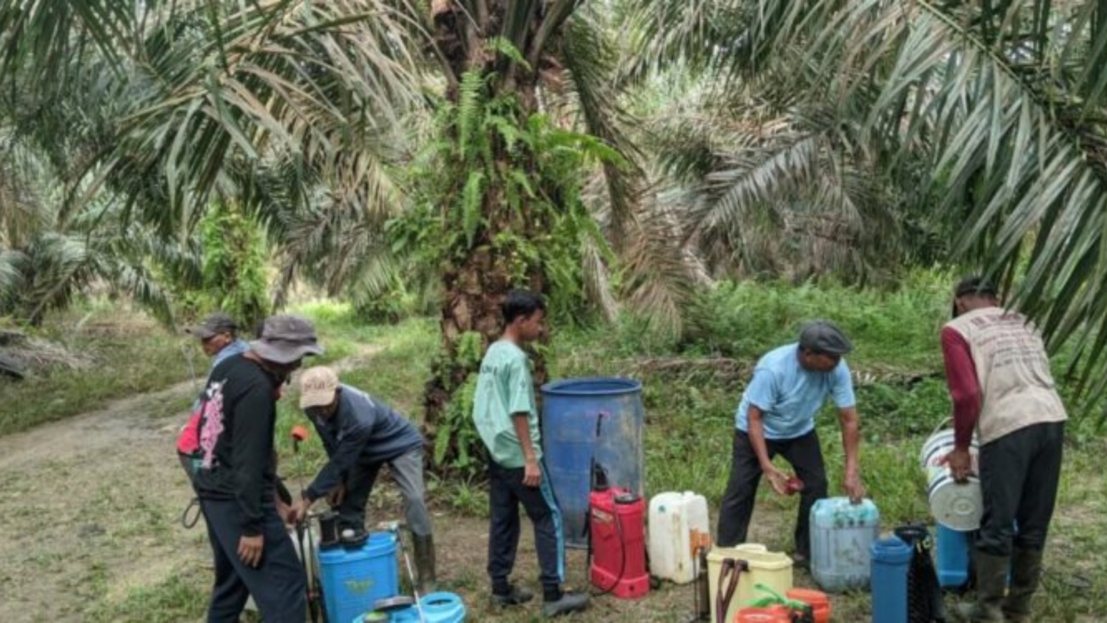 LDII Sarolangun Optimalkan Kebun Sawit, Gotong Royong Tiga PC Jadi Andalan