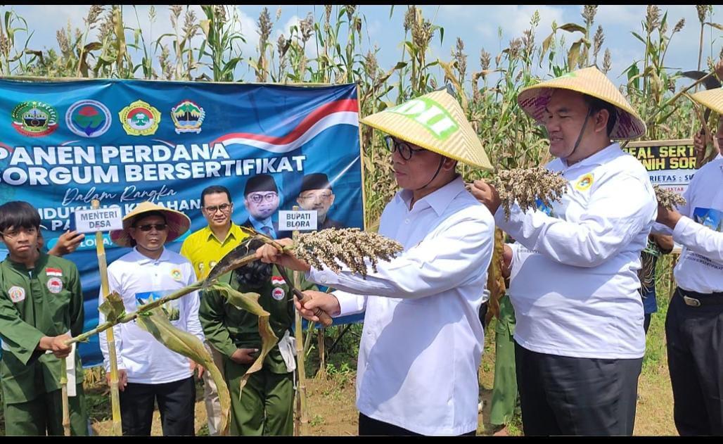 Dukung Swasembada Pangan, LDII Panen Sorgum di Blora Bersama Menteri Yandri dan Ketum DPP