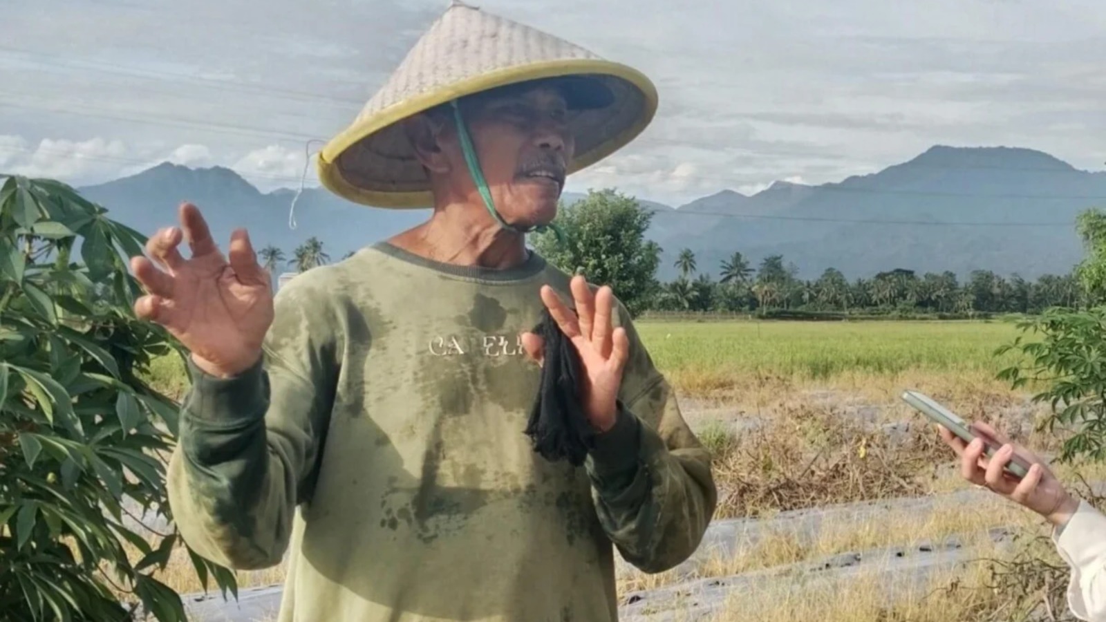 Rianto, Warga LDII Polewali Mandar Sukses Jadi Petani Mandiri